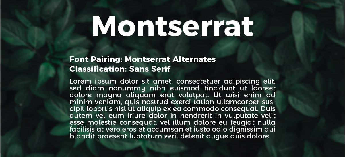 stimulus advertising web design services monteserrat font pairings alternate