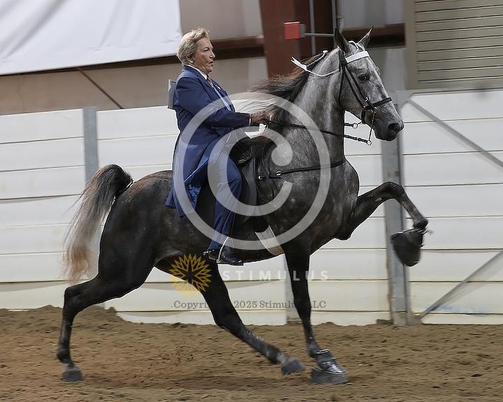 39. 4 Year Old Walking Amateur:Class-390004s0002IMG1048.jpg