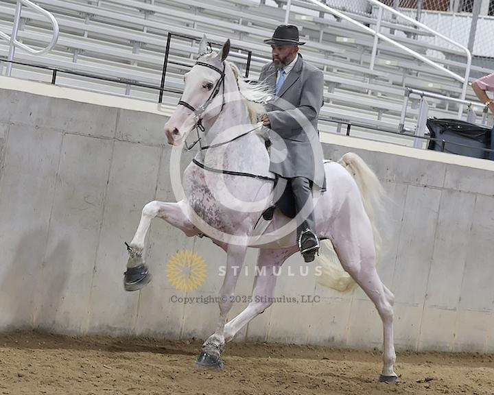 39. 4 Year Old Walking Amateur:Class-390004s0004IMG1022.jpg