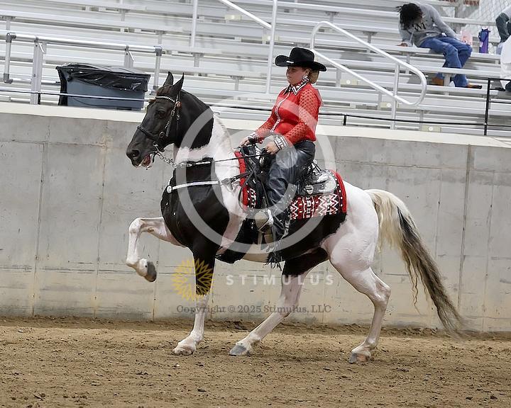 41. Park Pleasure Walking:class-410013s0002IMG0970.jpg