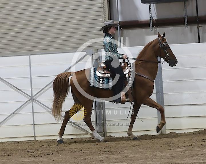 52. Youth Pleasure Racking 17 and Under E/W:Class-520008s0001IMG1407.jpg