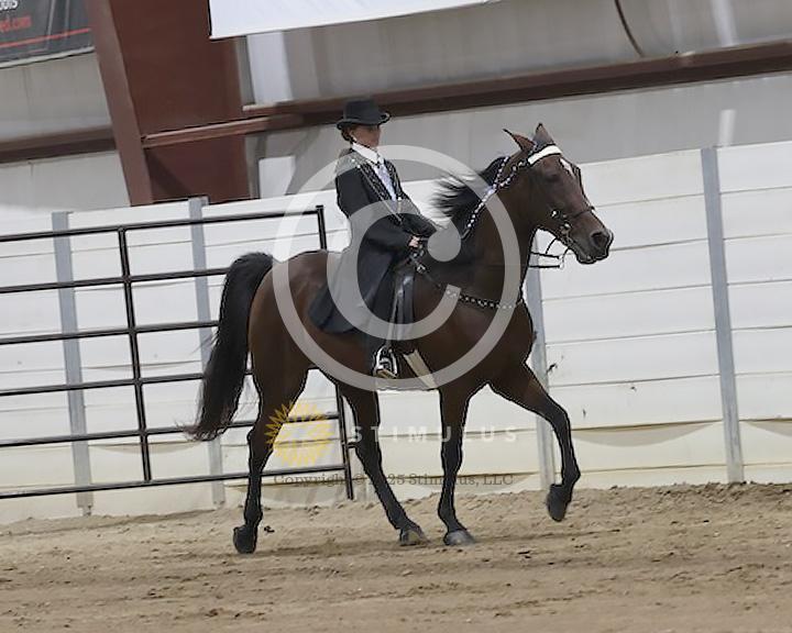 52. Youth Pleasure Racking 17 and Under E/W:Class-520008s0004IMG1420.jpg