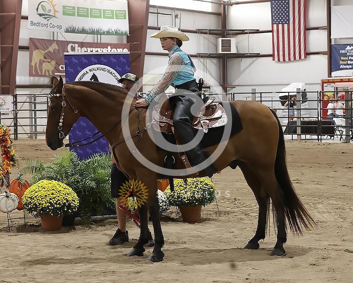 53. Pee Wee Pleasure 11 and Under:Class-530008s0001IMG1501.jpg