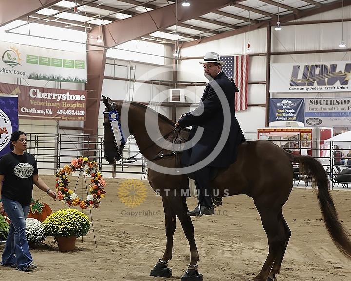 54. Show Pleasure Walking Open:Class-540008s0001IMG1626.jpg