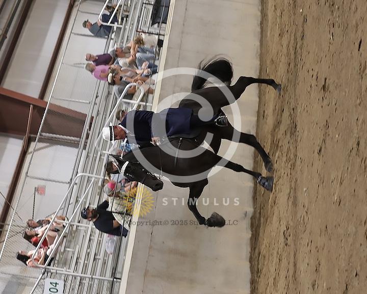 54. Show Pleasure Walking Open:Class-540008s0005IMG1571.jpg