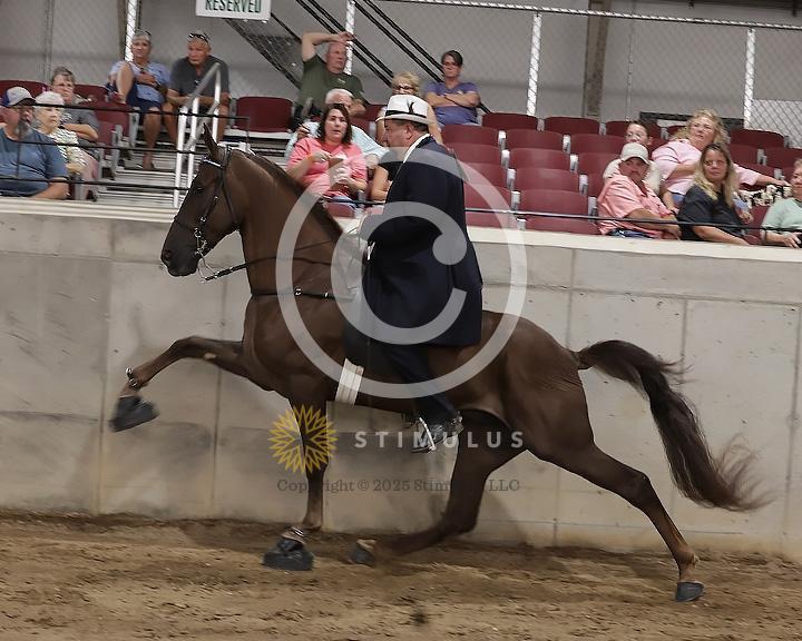 54. Show Pleasure Walking Open:Class-540008s0007IMG1553.jpg