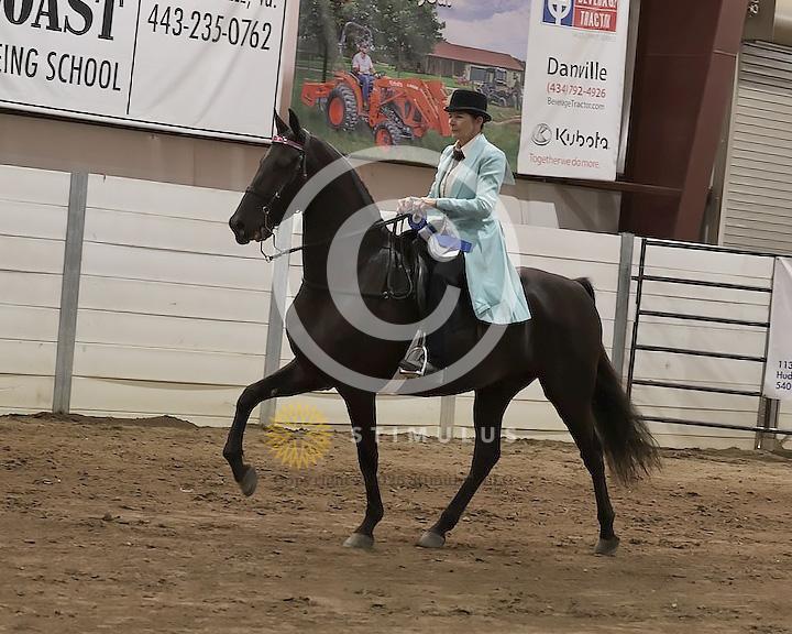 55. Style Racking Flat Shod:Class-550008s0001IMG1670.jpg