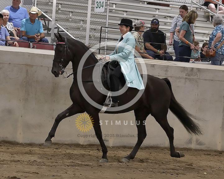 55. Style Racking Flat Shod:Class-550008s0004IMG1651.jpg