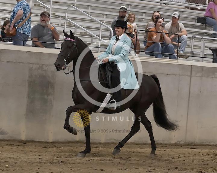 55. Style Racking Flat Shod:Class-550008s0005IMG1645.jpg