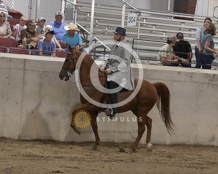 55. Style Racking Flat Shod:Class-550008s0006IMG1641.jpg