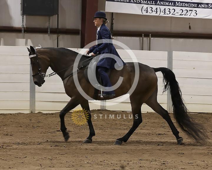 57. Country Pleasure Amateur:Class-570008s0001IMG1689.jpg