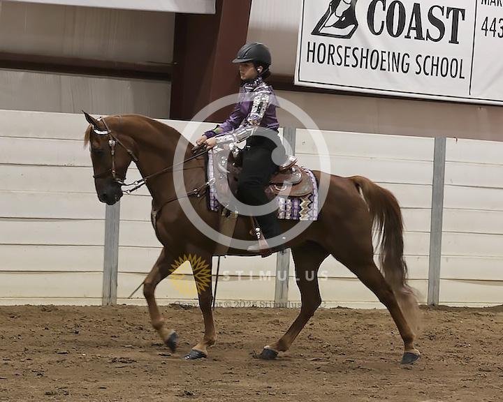 57. Country Pleasure Amateur:Class-570008s0004IMG1701.jpg