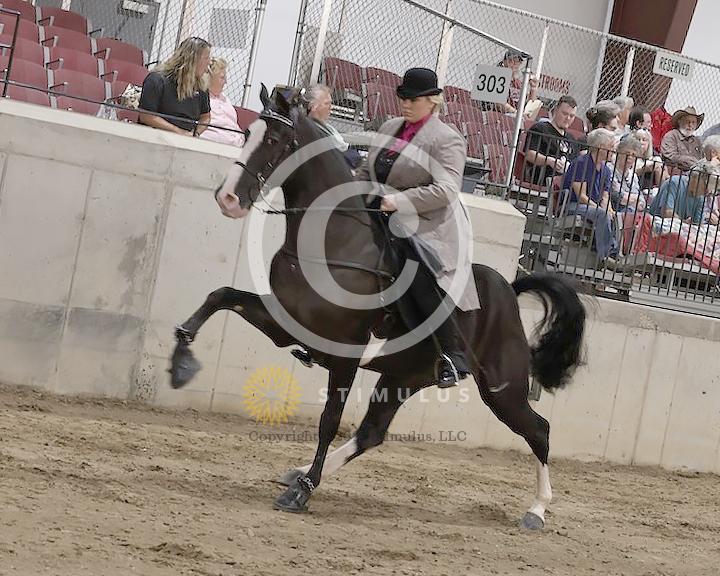 60. Park Performance Open:Class-600005s0002IMG1864.jpg