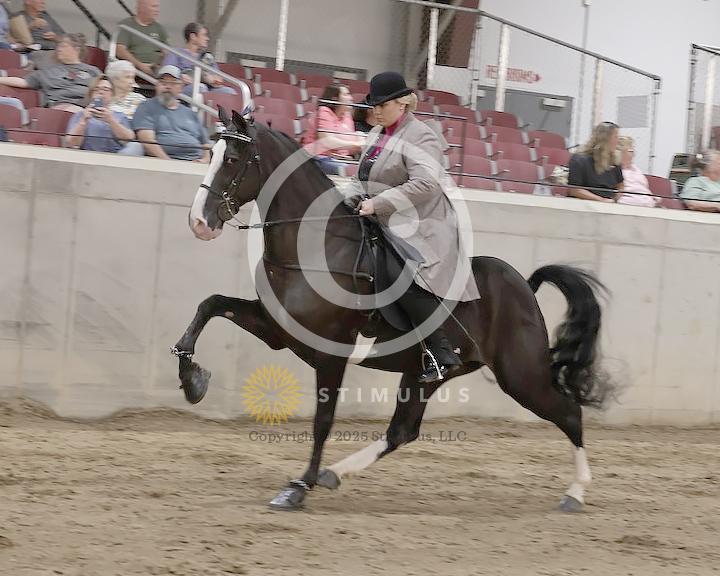 60. Park Performance Open:Class-600005s0003IMG1869.jpg