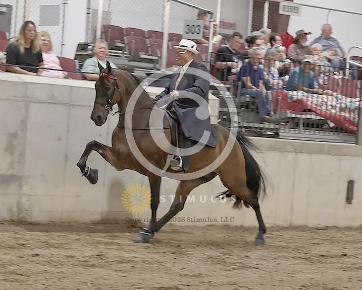 60. Park Performance Open:Class-600005s0004IMG1874.jpg