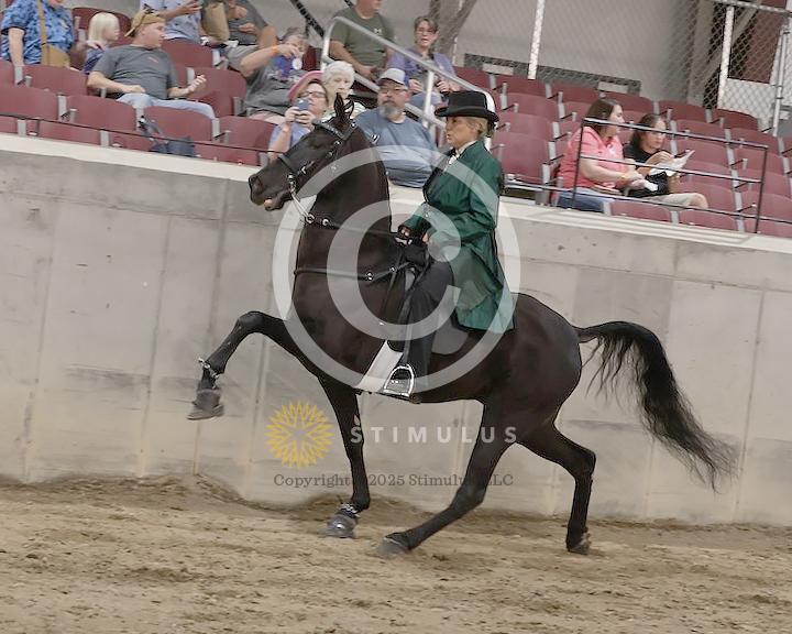 60. Park Performance Open:Class-600005s0005IMG1889.jpg