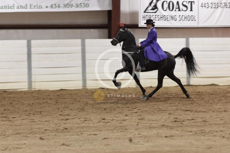 64. Style Racking:IMG2148.jpeg