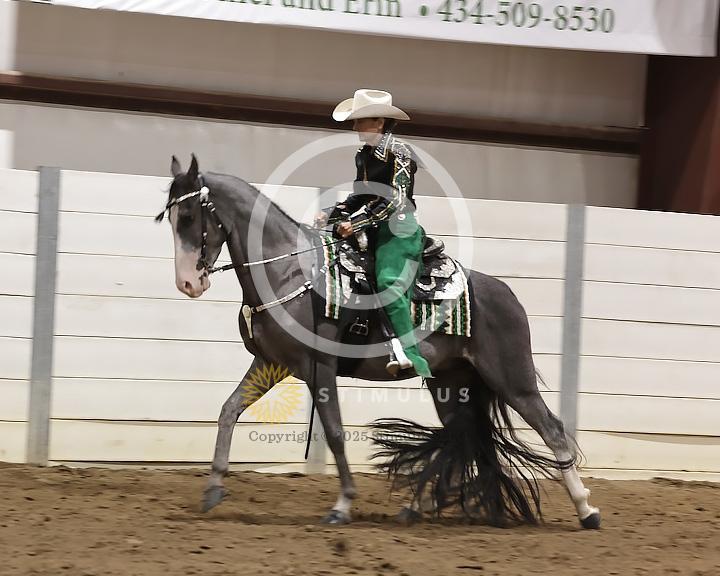 66. Country Pleasure Walking E/W:Class-660008s0000IMG2284.jpg