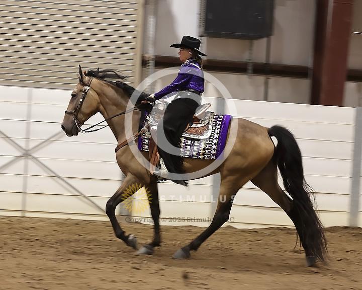 66. Country Pleasure Walking E/W:Class-660008s0002IMG2292.jpg