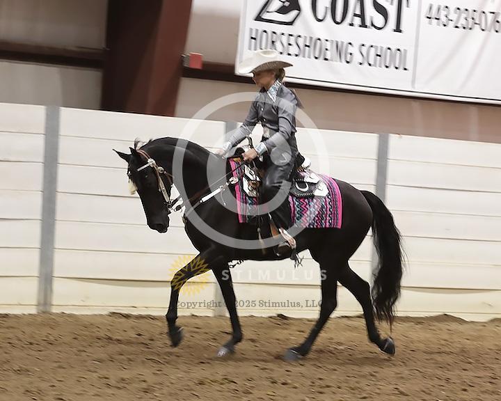 66. Country Pleasure Walking E/W:Class-660008s0003IMG2295.jpg