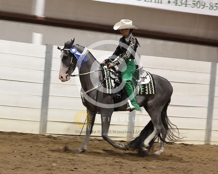 66. Country Pleasure Walking E/W:Class-660008s0005IMG2321.jpg