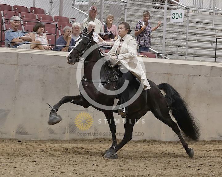 70. Amateur Walking Horse Specialty:Class-700013s0001IMG2509.jpg