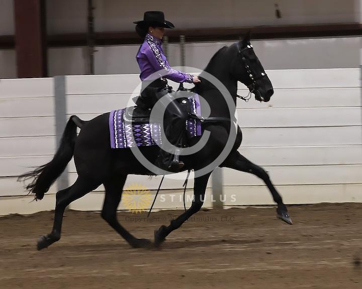 72. Country Pleasure Racking E/W:Class-720008s0003IMG2577.jpg