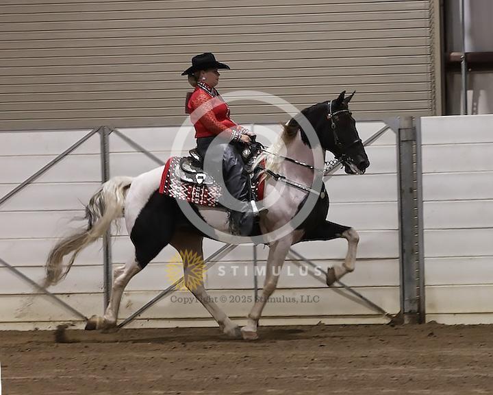 72. Country Pleasure Racking E/W:Class-720008s0004IMG2581.jpg