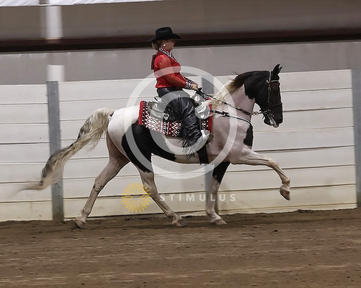 72. Country Pleasure Racking E/W:Class-720008s0006IMG2593.jpg