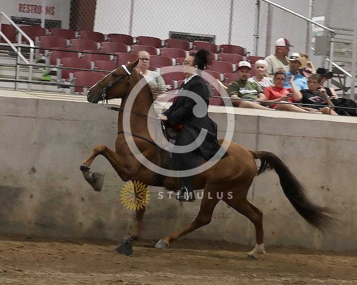 74. Ladies Racking Specialty Action Device:Class-740000s0000IMG2665.jpg