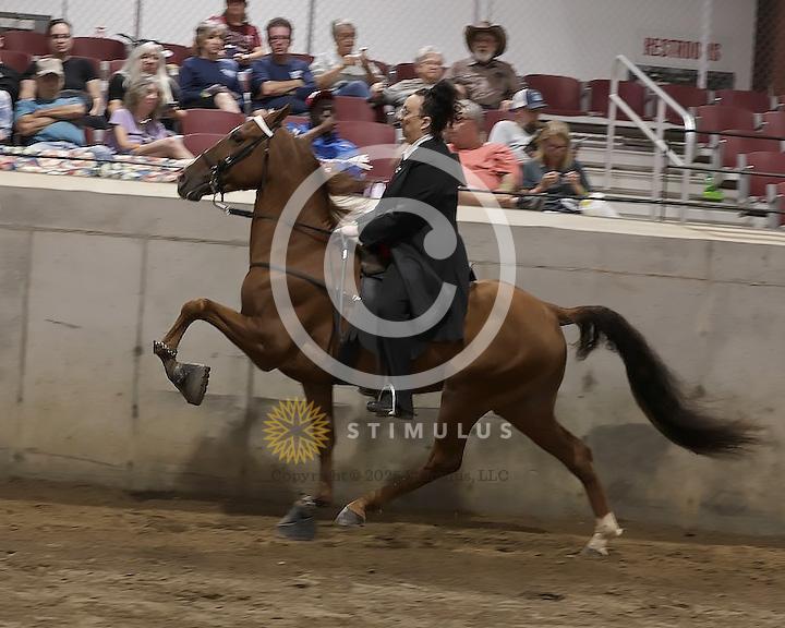 74. Ladies Racking Specialty Action Device:Class-740000s0001IMG2670.jpg