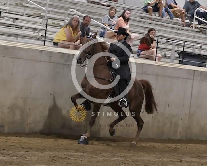 74. Ladies Racking Specialty Action Device:Class-740000s0002IMG2680.jpg