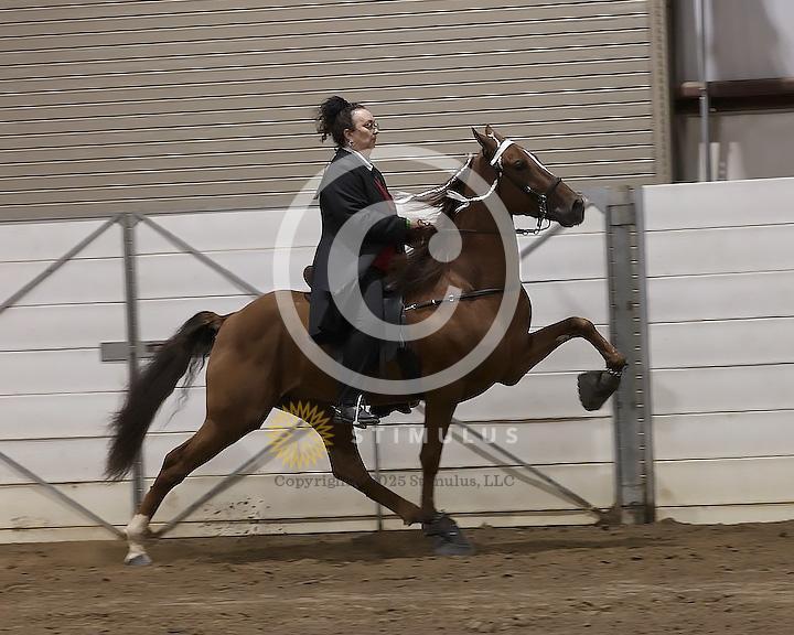 74. Ladies Racking Specialty Action Device:Class-740000s0005IMG2731.jpg