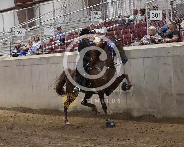 74. Ladies Racking Specialty Action Device