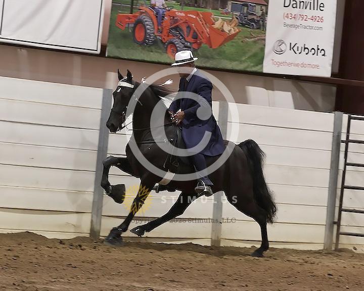 76. 15.2 and Under Walking Open:Class-760000s0001IMG2817.jpg