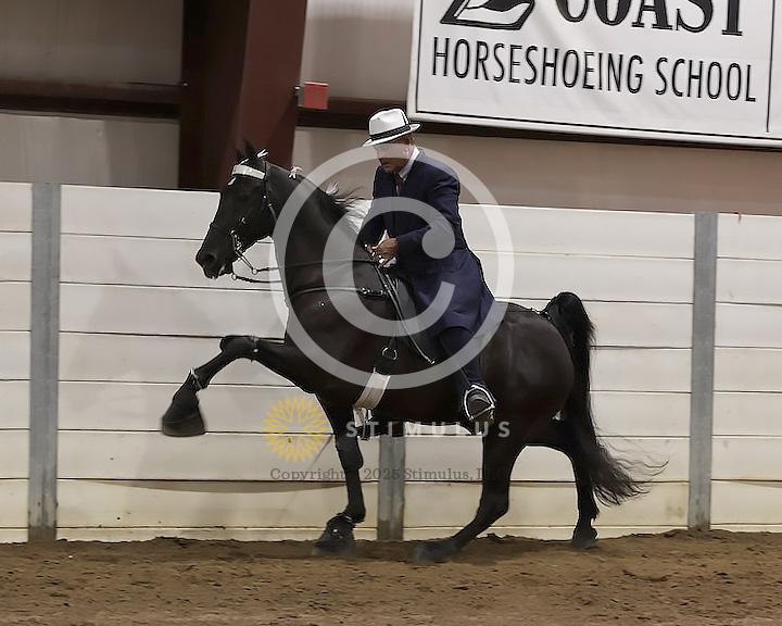 76. 15.2 and Under Walking Open:Class-760000s0002IMG2824.jpg