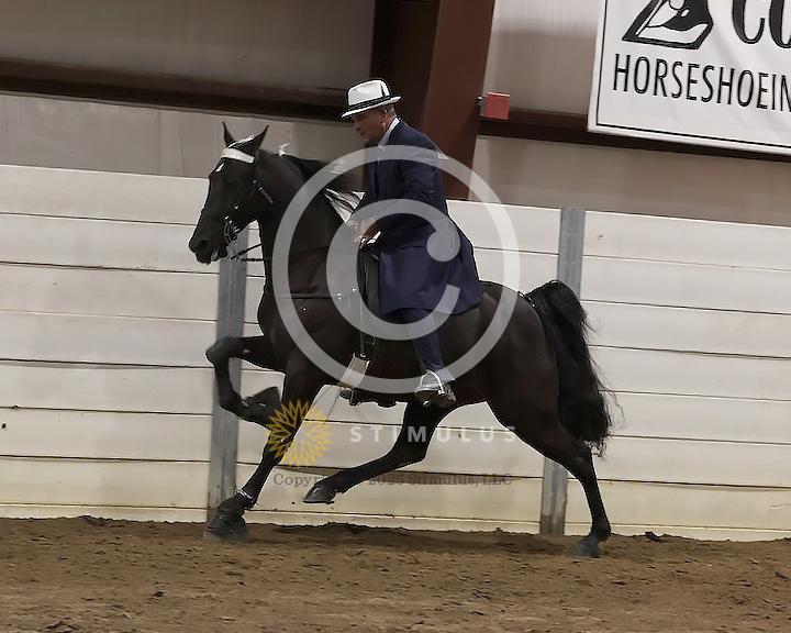 76. 15.2 and Under Walking Open:Class-760000s0003IMG2826.jpg