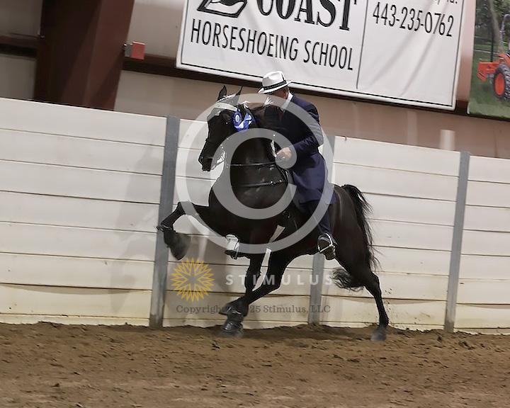 76. 15.2 and Under Walking Open:Class-760000s0009IMG2906.jpg