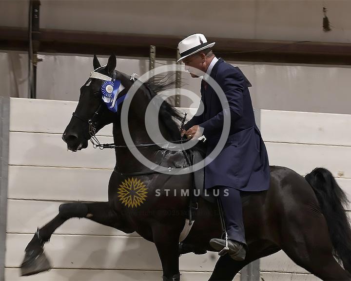 76. 15.2 and Under Walking Open