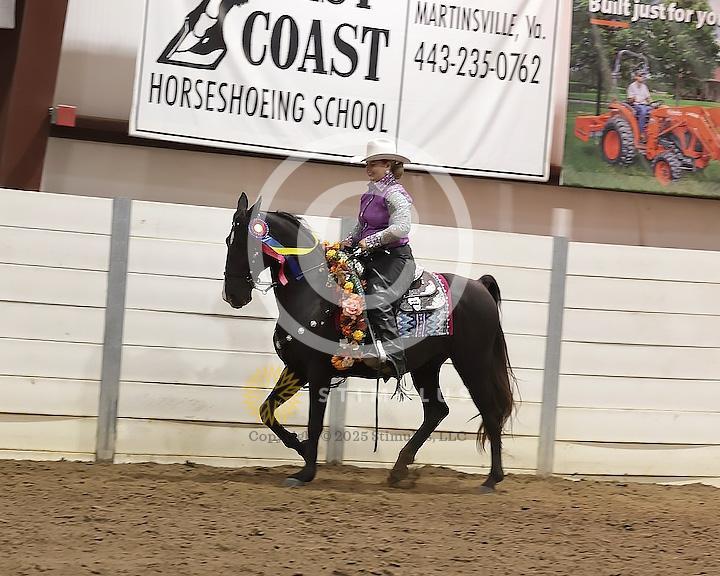 88. Trail Pleasure Racking Stake