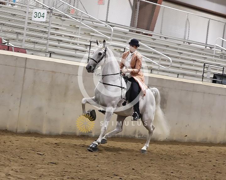 89. Walking Horse Stake Specialty:Class-890000s0001IMG3706.jpg