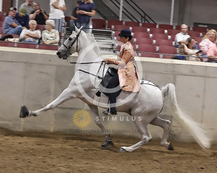 89. Walking Horse Stake Specialty:Class-890000s0002IMG3715.jpg