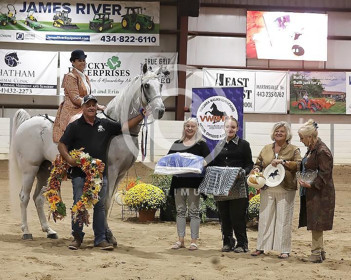 89. Walking Horse Stake Specialty:Class-890000s0015IMG3802.jpg