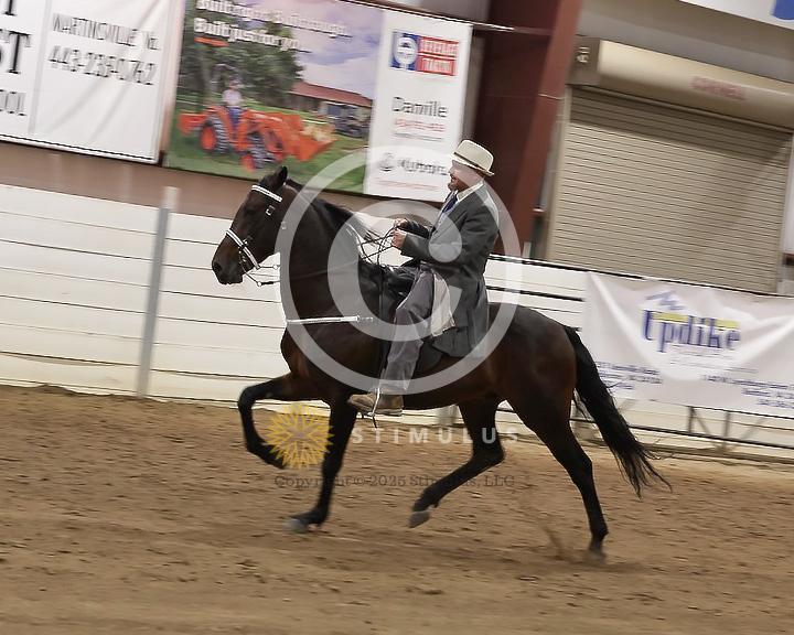 86. Speed Racking Stake:Class-860001s0001IMG3545.jpg