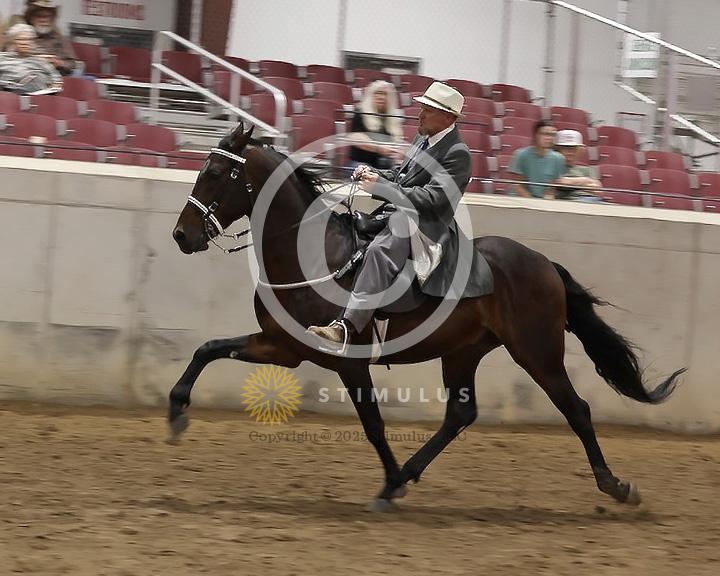 86. Speed Racking Stake:Class-860001s0002IMG3564.jpg