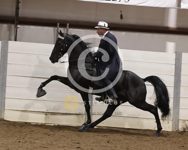 87. Racking Horse Specialty Action Device:Class-870001s0002IMG3643.jpg