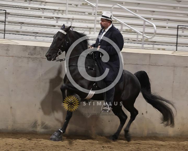 87. Racking Horse Specialty Action Device:Class-870001s0003IMG3646.jpg