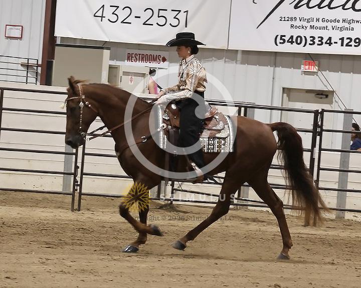 85. Youth Pleasure Stake:Class-850004s0005IMG3448.jpg