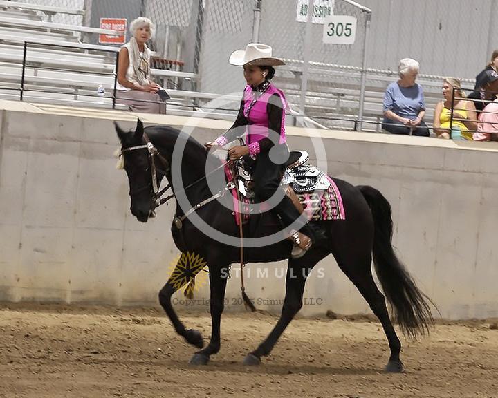 85. Youth Pleasure Stake:Class-850004s0007IMG3454.jpg