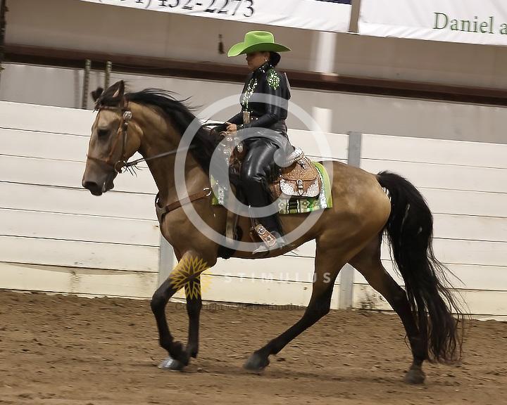 85. Youth Pleasure Stake:Class-850004s0008IMG3457.jpg